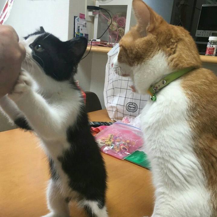 A079fecf e7ad 4dae 8f7d 19ac6d733fdb