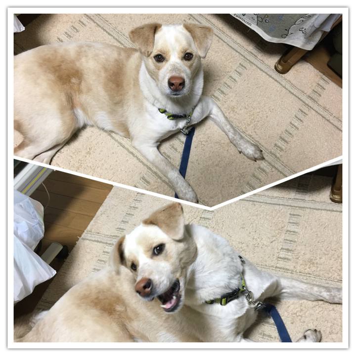 A07a4b97 b7c8 438a 9e2c b38d75950c1d