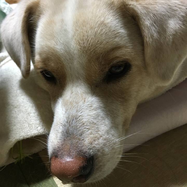 A07ac759 a469 4723 a9c3 ea3c567ddb8f