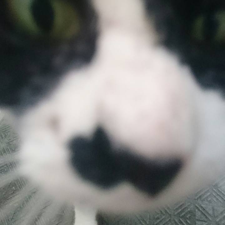 A07ae3ad 3456 416a ba84 0973997d0f2e