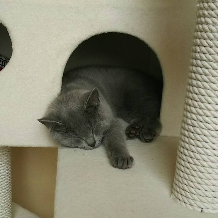 A07b11e0 c8d6 42af a43c b2fefa8202c6