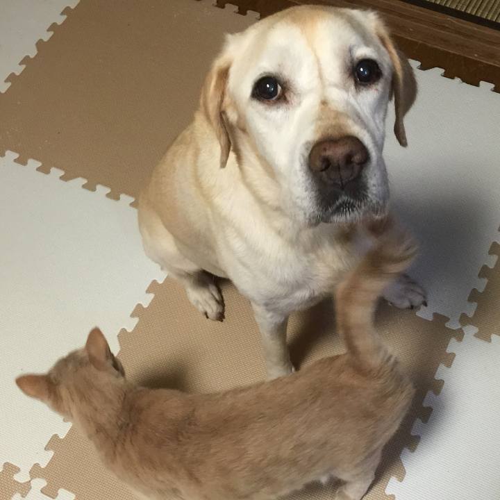 A07b58fc 4e35 416b a930 f78d19febc18