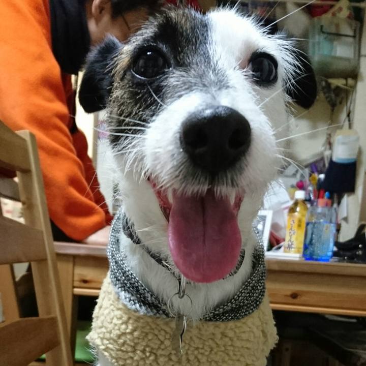 A07b803d 8c98 4e35 9c76 28a2cb39286d