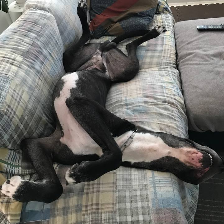 A07b97c4 be96 443e a586 6dd04eba369f