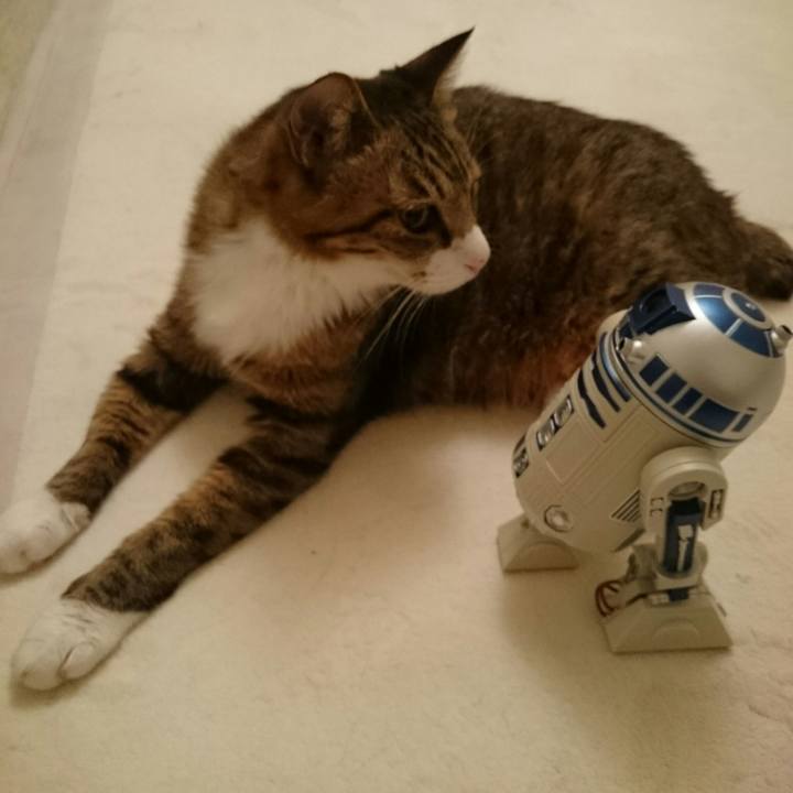 A07c07ed d0ba 4097 8255 7b9ebbf38f8a