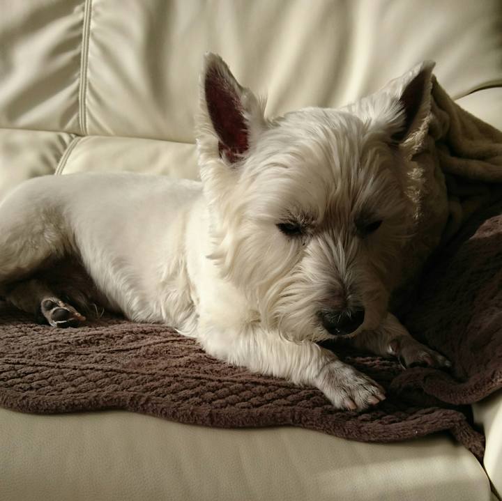 A07c4fb9 aa0f 415d 8230 e0ce2d235952