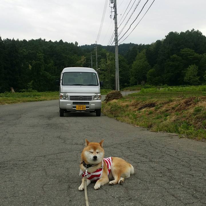 A07cf77e c05f 4e11 84e0 0e0005305a7a