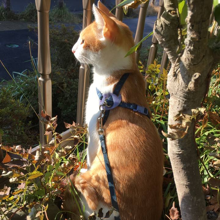 A07d67a5 4b2d 464d bc38 51571bc902f5