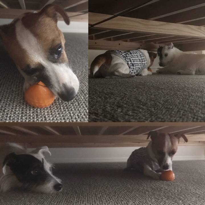 A07d826f 98ce 4319 a970 ad68bbdbd8b7