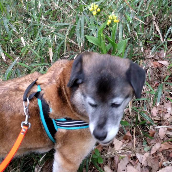 A07db62e ae5c 4d11 8db1 e07b0e93797e