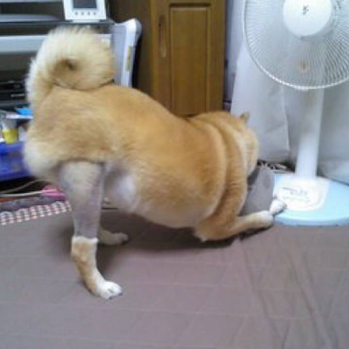 A07df63f 0fc4 4dec 8cdf 06bb0fa59cf9