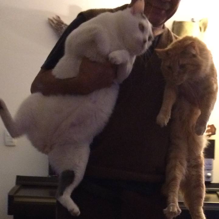 A07f4abb 6cf1 4414 9ca0 70c827e4f931