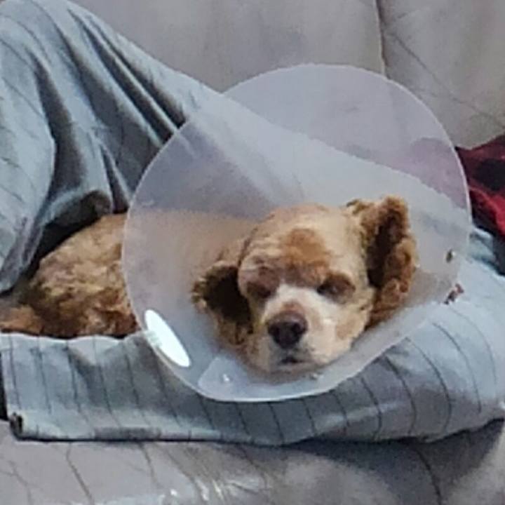 A080269c 11dd 4b35 8263 17b291867304