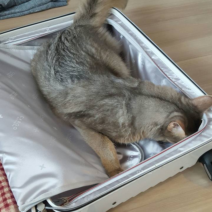 A080c3c1 6e64 4f02 99bf 433fda94e89e