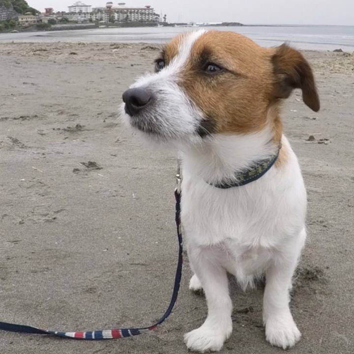 A0815d0e 55a4 4574 a63d 7665c3c22646