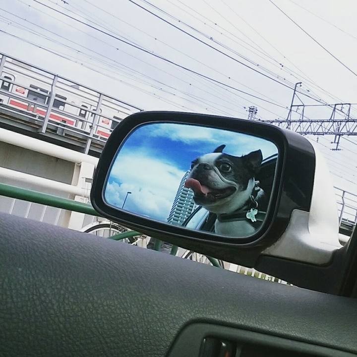 A081d7e8 2db7 421d 9ff0 f0c12aadafd3