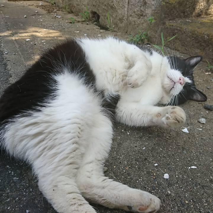 A0828deb 6c5b 4792 b21b 56d795597cc6