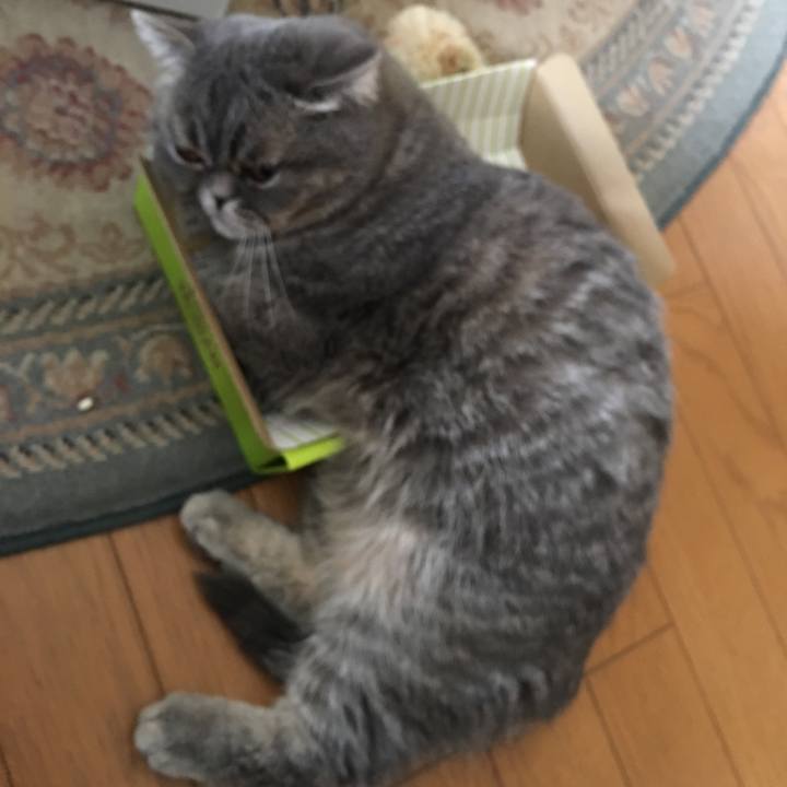 A082ddf0 bce7 44bf a226 e2829ede8fa2