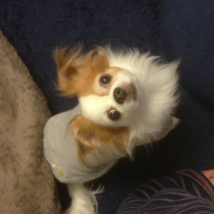 A082f3b3 a536 44fd ae6a e0429c7cfaba