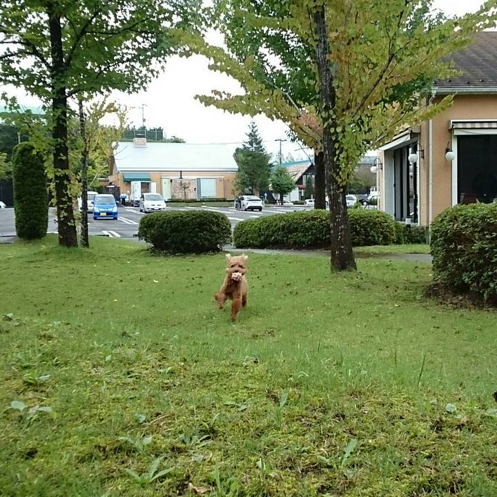 A0831c0c bdba 433a bdf0 154181c02ffd