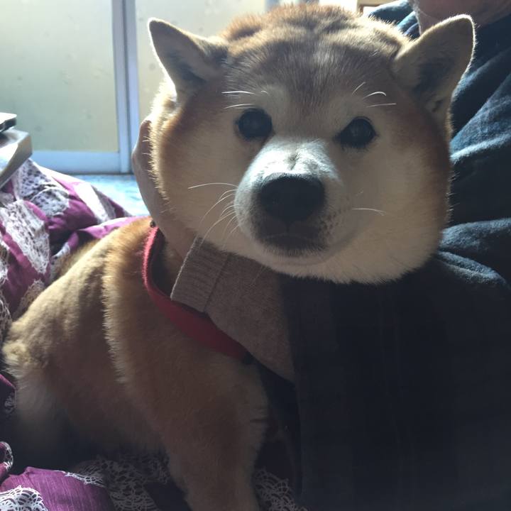 A0831c2d e7b4 468c 86db ee4079166671