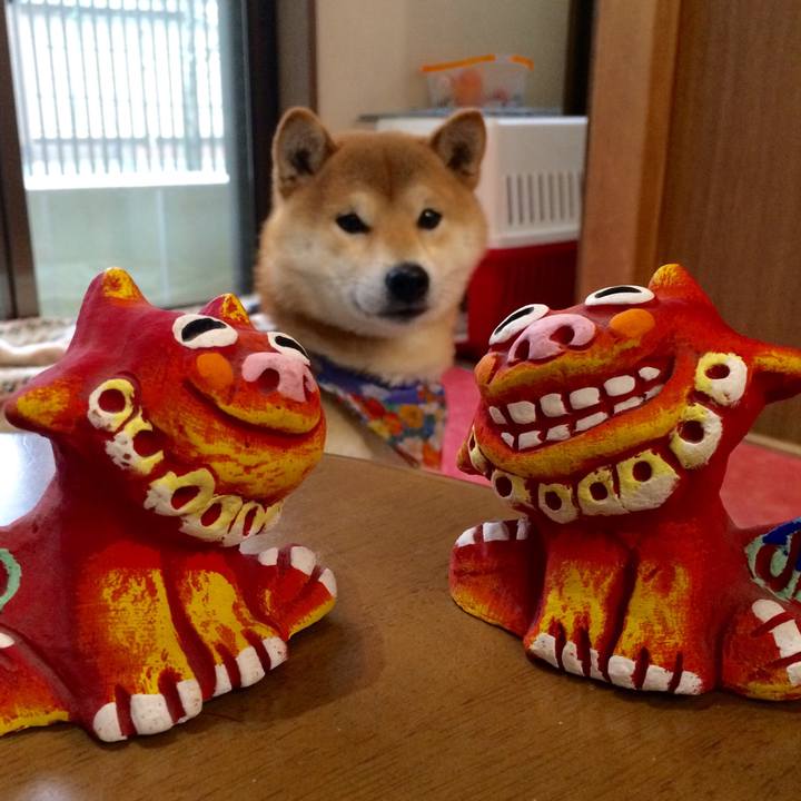 A0839d9f 1bb1 482c a3ed b4c358fd0cde