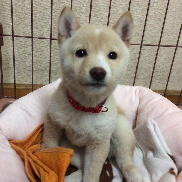 A085d39f 5f65 4106 85f0 50d4ca2d4ea7