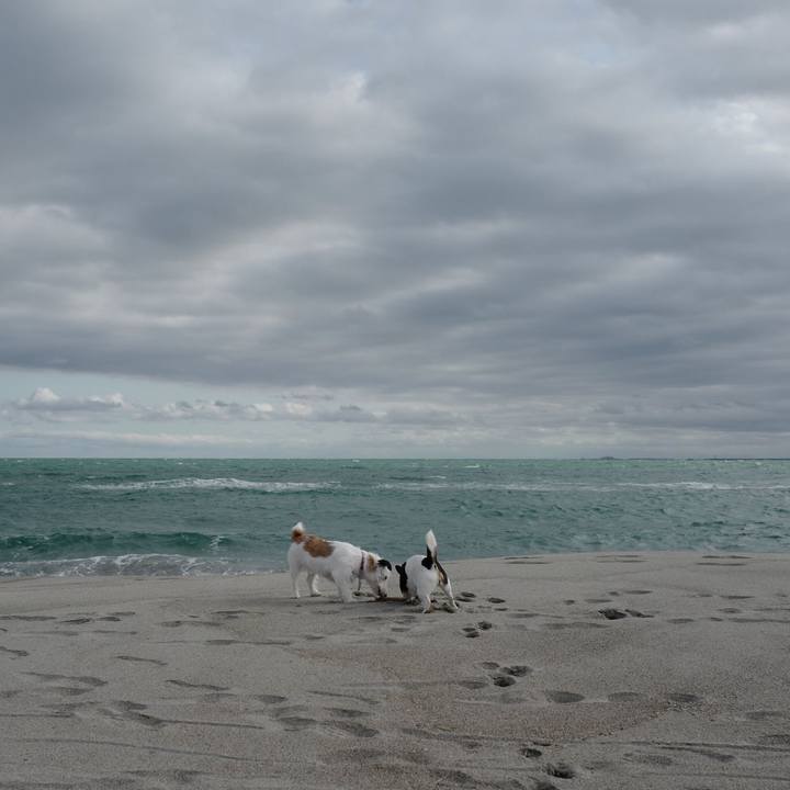 A085d401 2d7c 469a bb8c e527f58f7302