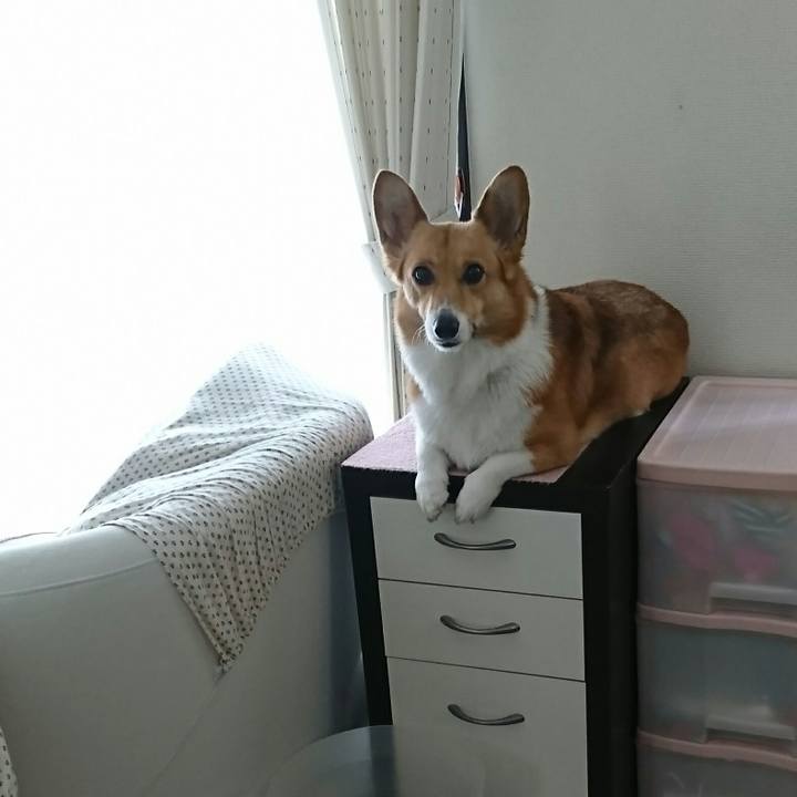 A0868934 83f4 40f2 a58e b56f70d840eb