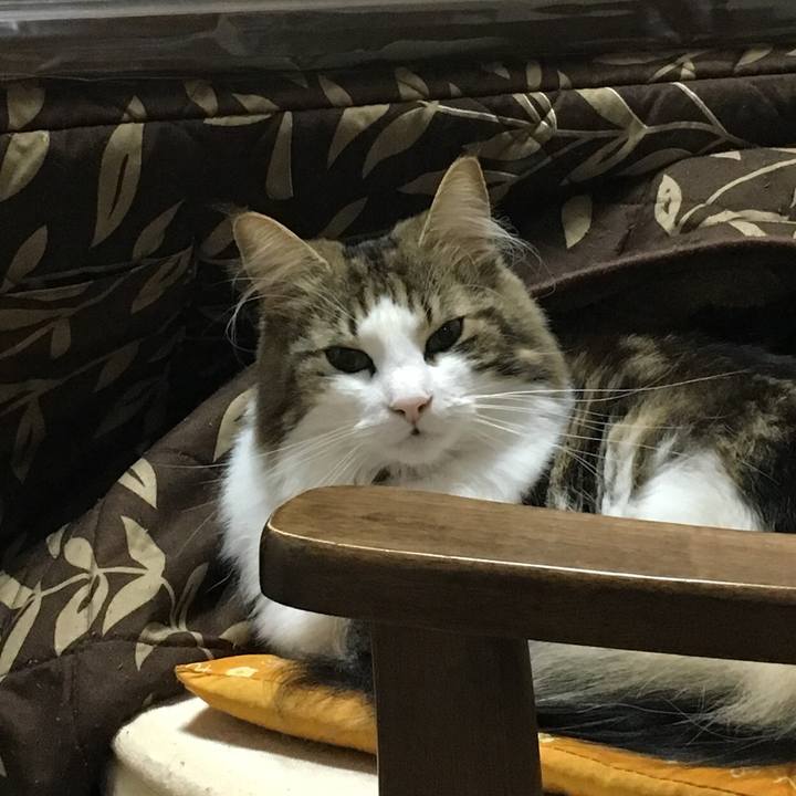 A0869e4d c9ae 4b74 8ad1 b05267499abf