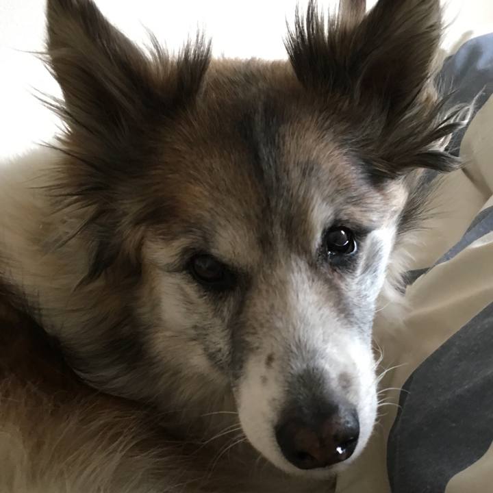 A087c87f 45c2 4ab7 9af3 3f4497c8e1dc