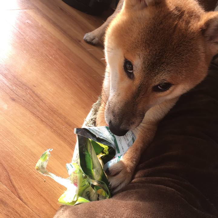 A0880d62 3cc7 4d45 aae7 bac10b5262db