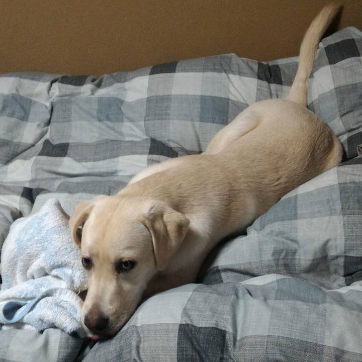 A088ca71 ab3b 401a 9de4 970b2ac701fa