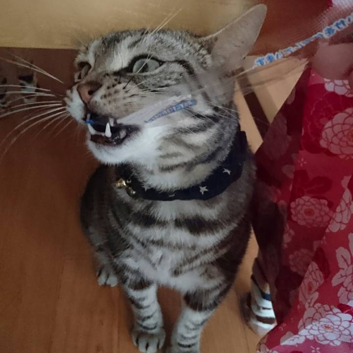 A089040f 9bb6 4758 8f57 a554d01ae2a3