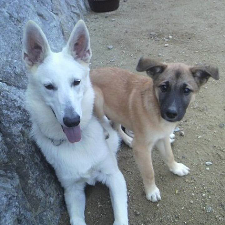 A0890f4f 1515 4488 b9b1 c0d45feb38e4