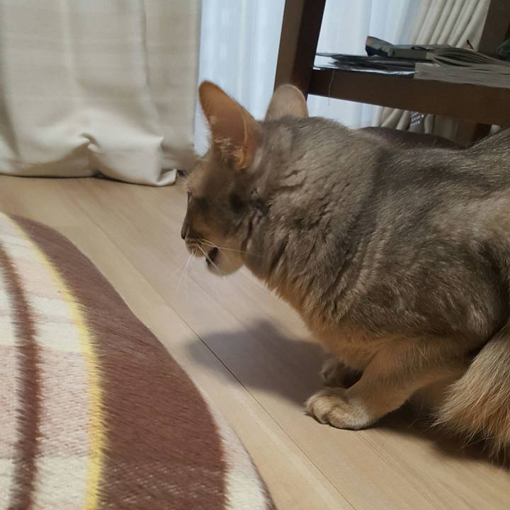 A0894a92 fad9 40ba a1cc a8e27b018612