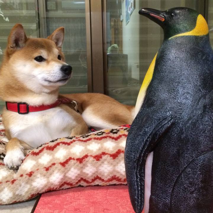 A0899f23 0ec6 4227 b9c9 e5a43a2691a3