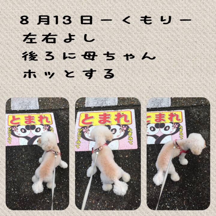 A089f06e 4af9 47ad 9c50 336f056ec733