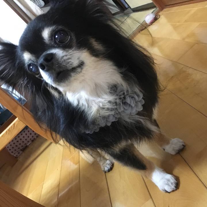 A08a2dbe e2d3 4ad2 9ad0 7819c782b3d7