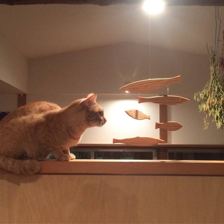 A08a3696 d120 4c3d 9abc 6140adf460d1