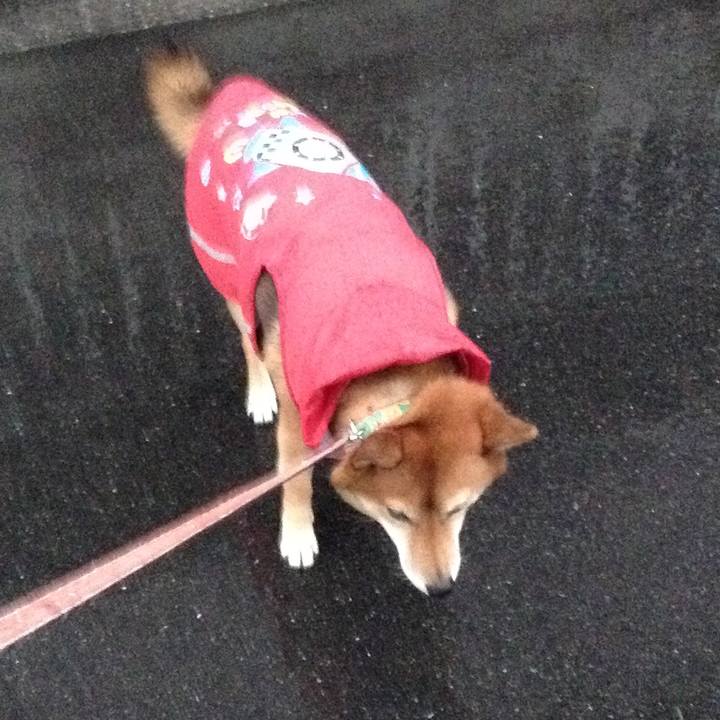 A08a52ba bd2b 4c2d 9075 b38f0a295abb