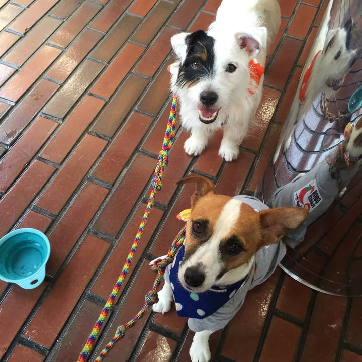 A08a5b88 6cbb 4e8f a59d 9dc2e7eed14e