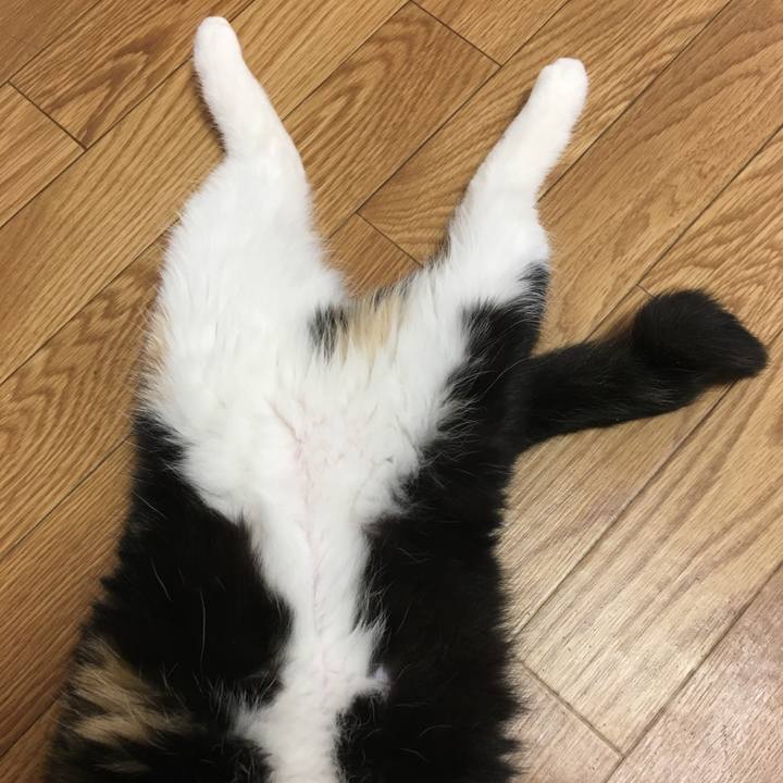 A08ac905 d48c 4898 b427 9e6dab67bc9f