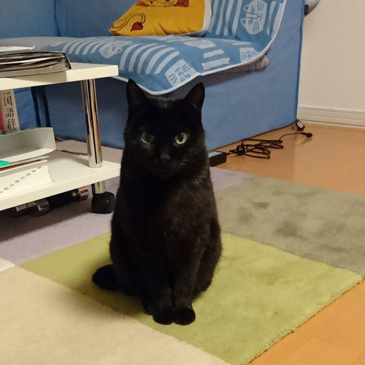 A08b308e f6fa 4ab7 aad7 d06022776e52