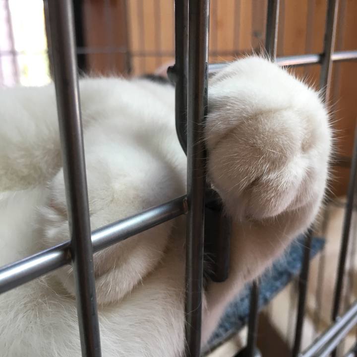 A08b6a9f 84ec 4e7d 94cb 7f1759343e83