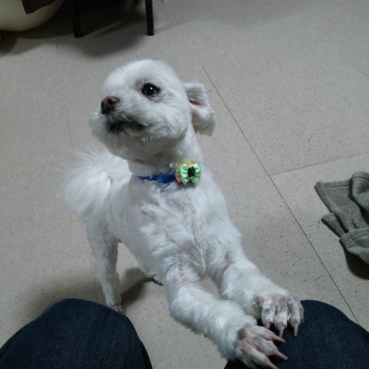 A08b6fba 3dd9 4b96 8f03 9b53bfee3e5f