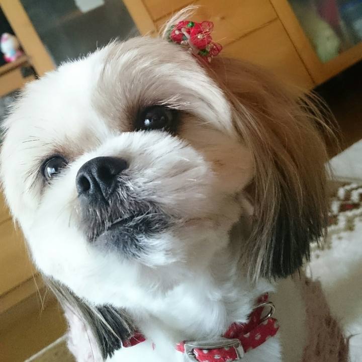 A08c80e3 de61 4526 8781 ff3602db62d4