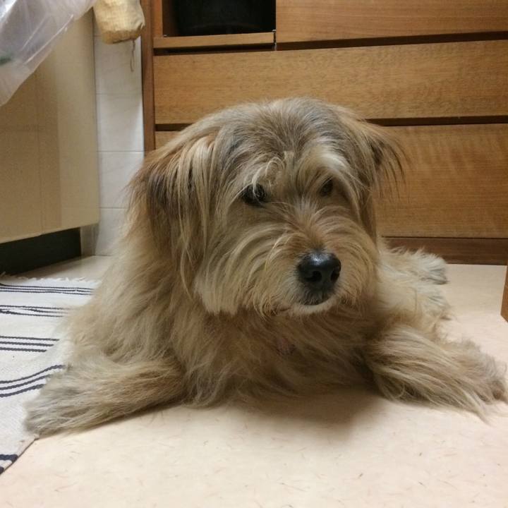 A08d1007 e942 4858 abb8 ec6e7352dd6f