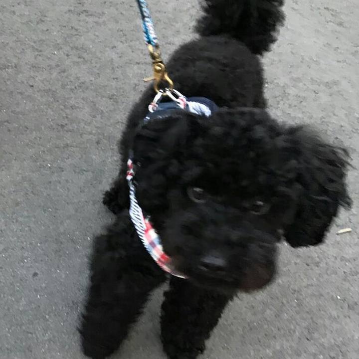 A08d1d3c c23c 4171 bef2 968003a290f2