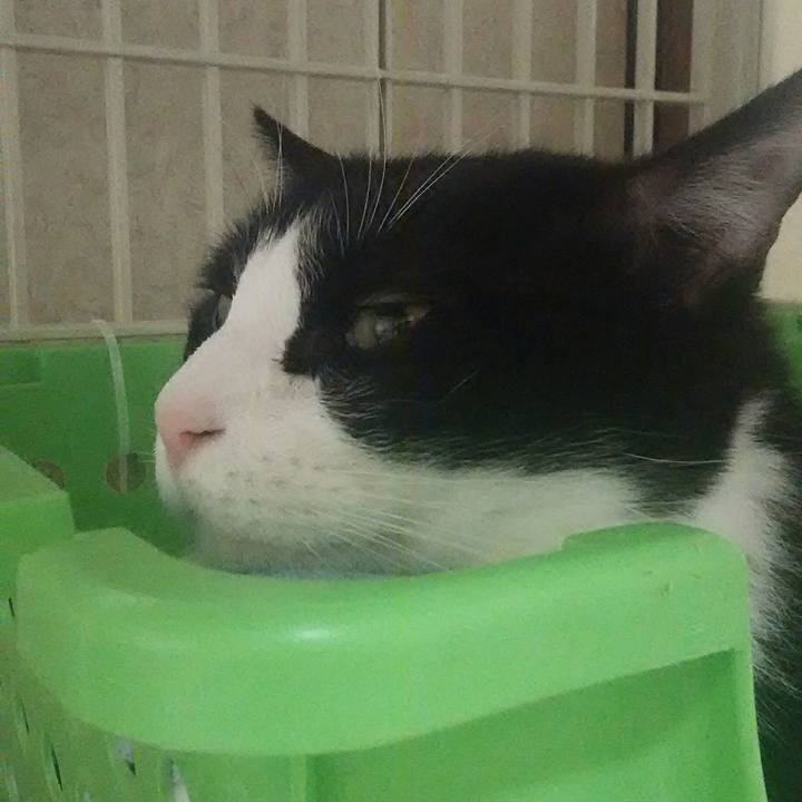 A08d7b4f a0eb 4d21 9faf 2dacb23584b6